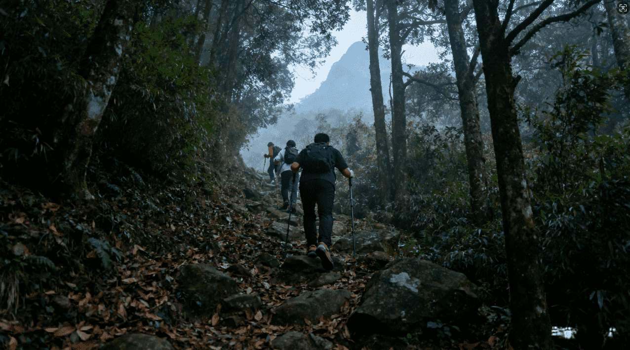 西柚云加速器破解版稳定无限流